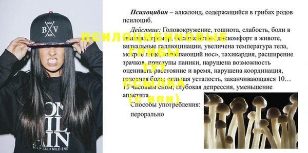 бутират Каменка