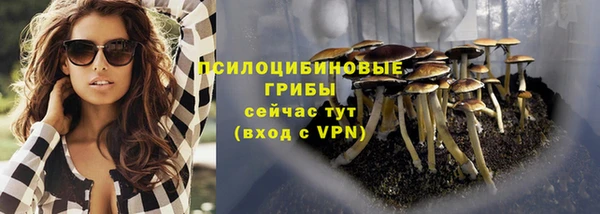 марки nbome Карпинск