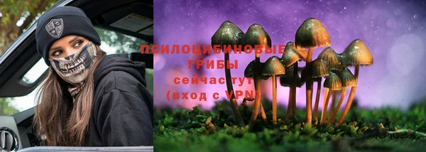 mdpv Карталы